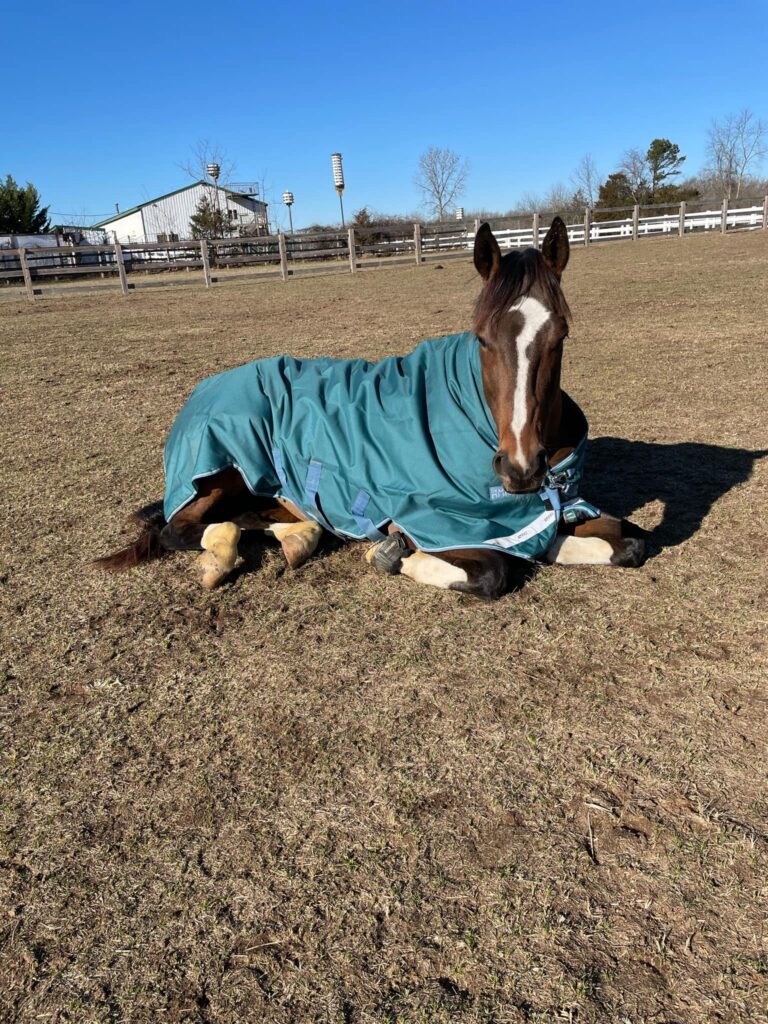 Alli blanket