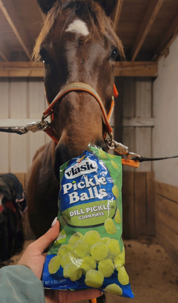 horse eating pickle ball puffs