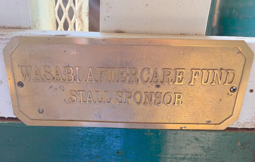 Wasabi Aftercare stall sponsor Second Stride